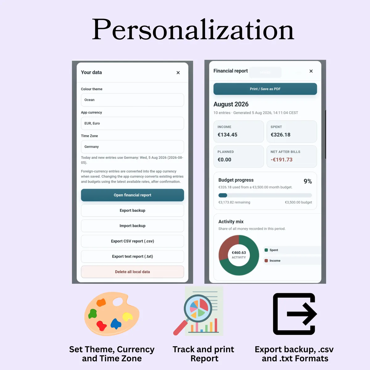 DayMoney theme, currency, time zone, reports and export settings